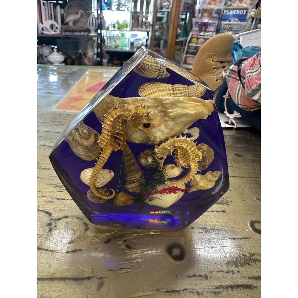 Vintage Mid-Century Portugal Lucite Seahorse Acrylic Block Paperweight